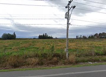 chile/curico/attraction/curico-chile