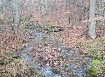 slovakia/muranska-planina-national-park/attraction/jaskyna-bobacka