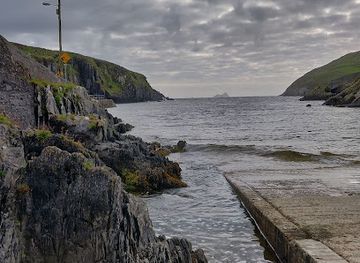 ireland/skellig-michael/attraction/skellig-falcon