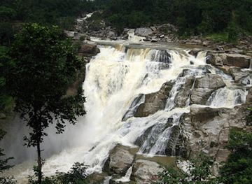 india/jharkhand/attraction/betla-national-park