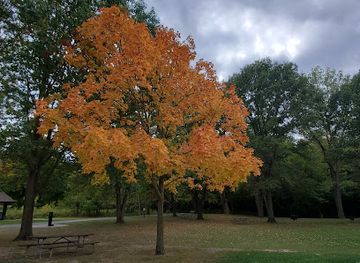 ohio/maumee-valley/attraction/swan-creek-preserve-metropark