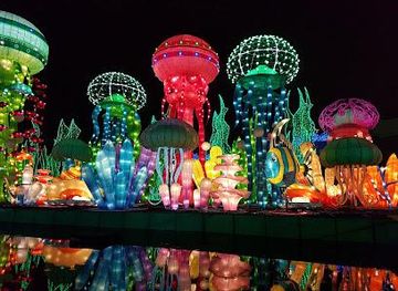 united-arab-emirates/umm-al-quwain/attraction/dubai-garden-glow