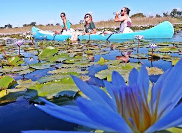 mozambique/bazaruto-archipelago/attraction/vilanculos-canoe-safaris-lda