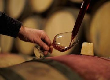 france/dijon/attraction/domaine-lejeune-pommard