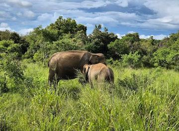 sri-lanka/anuradhapura/attraction/hurulu-eco-park