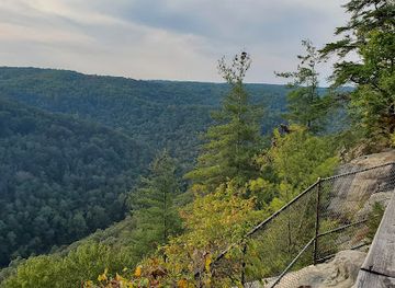 Colorblind Viewfinder: Big South Fork National River & Recreation Area-East Rim Overlook