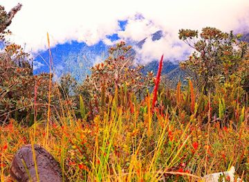 papua-new-guinea/mount-hagen/attraction/dupdawii-village