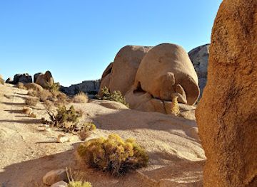 california/joshua-tree-national-park/attraction/split-rock-loop-trail