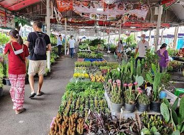 thailand/bangkok/attraction/chatuchak-flower-market
