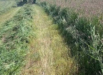 kyrgyzstan/arslanbob-walnut-forest/attraction/ak-terek-ayyly