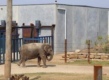 australia/sydney/attraction/sydney-zoo