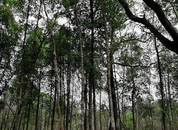 maldives/haa-alif-atoll/attraction/kandoofaa