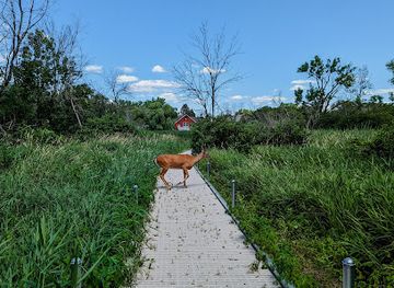 minnesota/saint-paul/attraction/dodge-nature-center-main-property