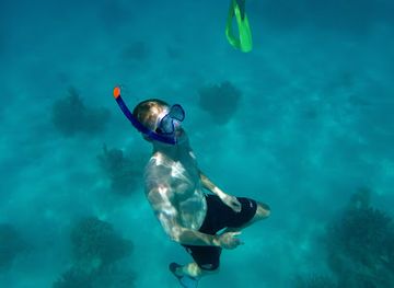 maldives/thinadhoo-island/attraction/sun-shade-coral-park