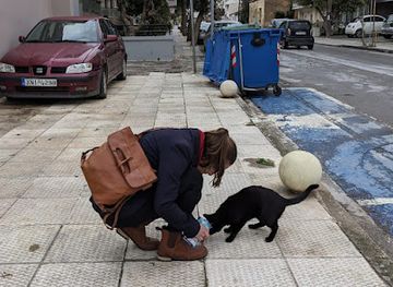 greece/chania/nea-chora/attraction/naomi-the-cat