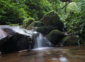india/shillong/attraction/malki-forest