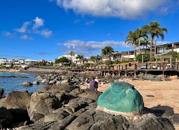 australia/airlie-beach/attraction/turtle-boardwalk