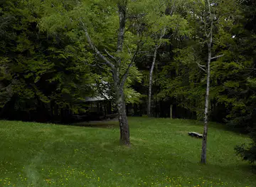Livada Mijatovac