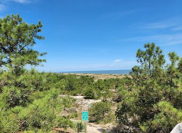 delaware/delaware-beaches/attraction/fort-miles-museum