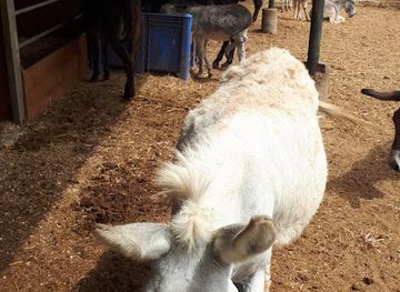 israel/kfar-saba/attraction/zula