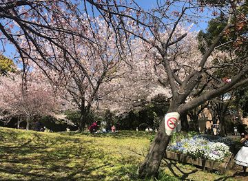 japan/tokyo/attraction/saigoyama-park