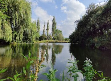armenia/arpi-lake/attraction/hamo-s-lake
