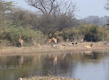 india/agra/attraction/bharatpur-bird-sanctuary