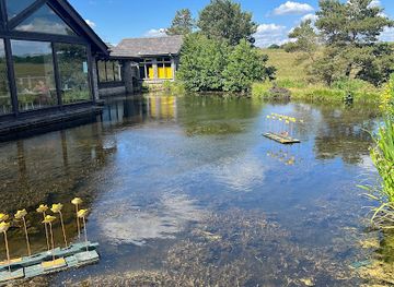 united-kingdom/westmorland/attraction/tebay-services-southbound