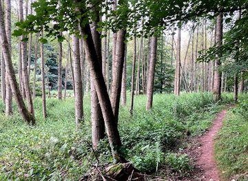 united-kingdom/east-lothian/attraction/brock-wood-scottish-wildlife-trust