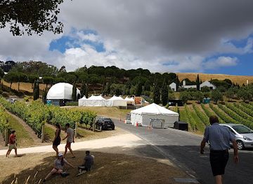 new-zealand/hawke-s-bay/attraction/black-barn-vineyards