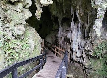 new-zealand/paihia/attraction/kawiti-glowworm-caves