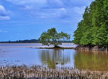 thailand/chumphon/attraction/pak-hat-beach