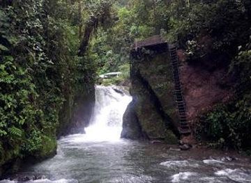 ecuador/mindo/attraction/bosque-protector-mindo-nambillo