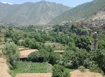 Sutan, Dara-e-Noor