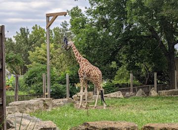 kansas/topeka/attraction/topeka-zoo