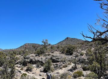 nevada/red-rock-canyon-national-conservation-area/attraction/little-zion-trailhead