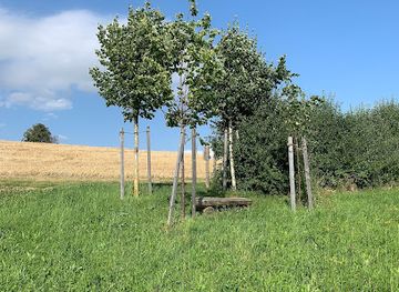 switzerland/aargau/attraction/jurapark-baumkapelle-bozberg