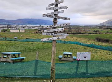 ireland/mourne-mountains/attraction/cranfield-alpacas-winner-best-tourism-experience-in-northern-ireland