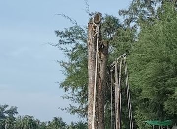 thailand/rayong/klaeng/attraction/had-nam-dang-rayong