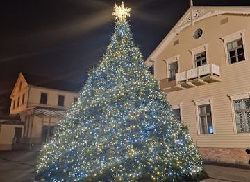 lithuania/palanga-beach/attraction/palangos-kaledu-egle