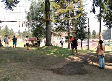 bulgaria/rila-mountains/attraction/vuzhen-grad-borolandia