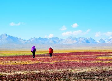 kyrgyzstan/chatyr-kul-lake/attraction/krasnyye-polyany-s-krasnoy-travoy