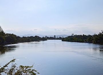 madagascar/masoala-national-park/attraction/masoala-travel-guide