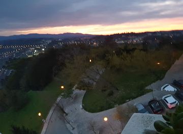 portugal/viseu/attraction/bosque-da-quinta-do-bosque