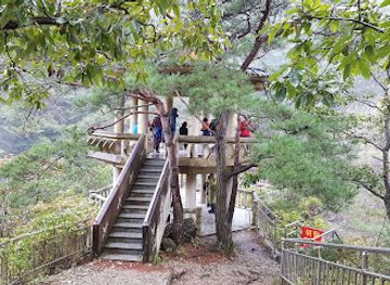 south-korea/naejangsan-national-park/attraction/gamagol-ecological-park