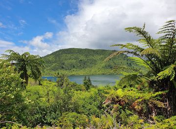 new-zealand/bay-of-plenty/attraction/tarawera-trail
