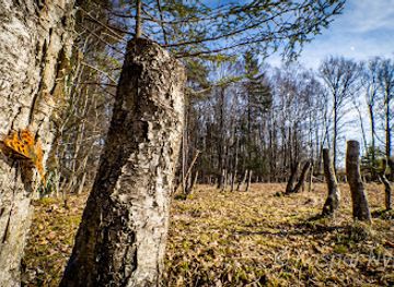 denmark/helsingor/attraction/pindemosen-sphagnummose