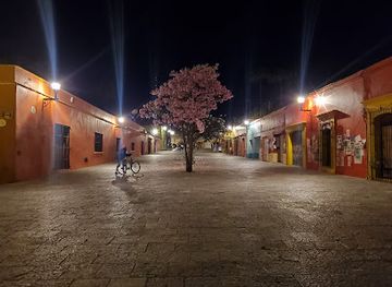 mexico/oaxaca/centro-historico/attraction/jardin-conzatti