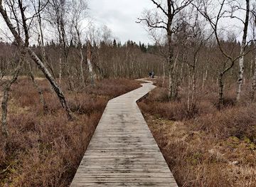 denmark/north-zealand/attraction/bollemosen