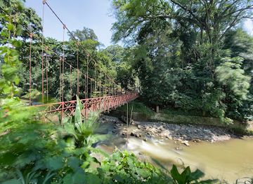 indonesia/west-java/attraction/bogor-botanical-gardens